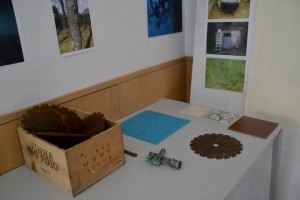 10719197_10202167229736841_453819198_n